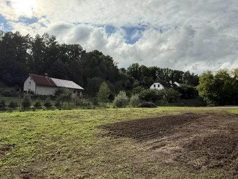 Pohled přes louku na obec Koryta s usedlostmi pod lesem