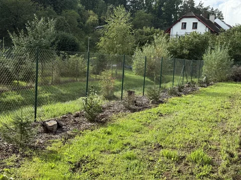 Travnatý pozemek podél drátěného plotu a mladých jehličnanů